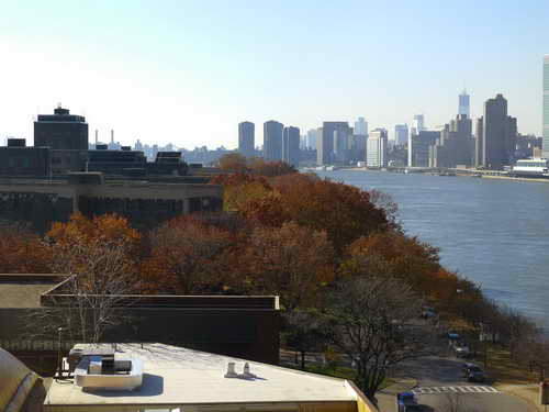 NYC_2012-11-17 10-43-00_P1070062